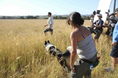 Animal Tails Animal Wrangler