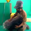 Animal Tails Animal Wrangler