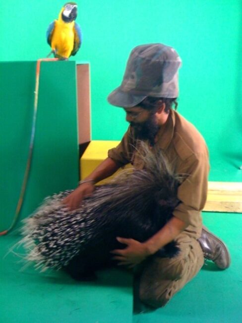 Animal Tails Animal Wrangler