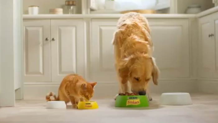 Purina Friskies